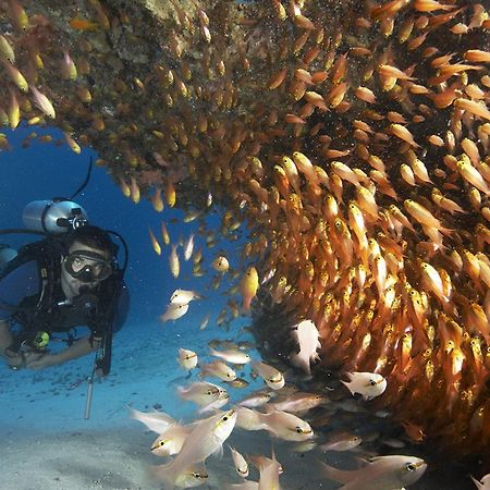 Zawadi Hotel, Zanzibar Michamvi Kae Ngoại thất bức ảnh